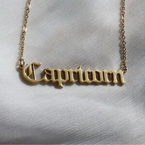 Capricorn Stainless Steel Gold Tone Zodiac Sign Necklace